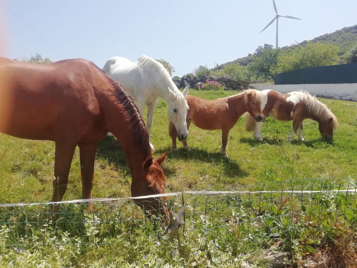 Вилла Casinha Da Lareira - Quintinha Dos Cavalos- Арруда-душ-Виньюш Экстерьер фото